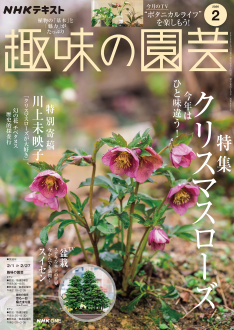 【中古】 やさしい園芸Q＆A（第2集） 中古】 やさしい園芸Q＆A（第2集） 【公式通販】