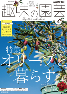 NHK 趣味の園芸 2026年4月号 | NHK出版