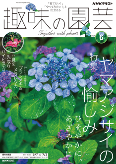 NHK 趣味の園芸 2026年6月号 | NHK出版