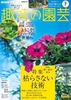 NHK 趣味の園芸 2025年7月号 | NHK出版
