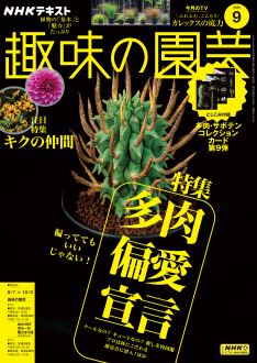 日本の芸談　8冊セット　九藝出版 日本の工芸 全10冊揃 | 淡交新社 | nostos books ノストスブックス